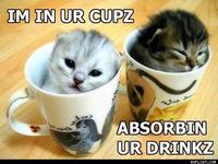 In Ur Base