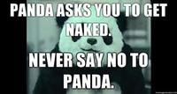 Never Say No to Panda
