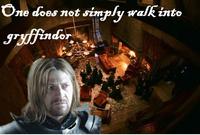 One Does Not Simply Walk into Mordor