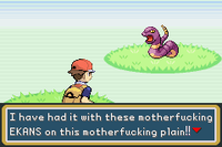 Snakes on a Plane