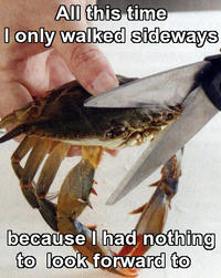 Sad Crab / This Kills The Crab