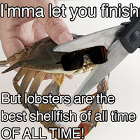 Sad Crab / This Kills The Crab