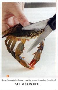 Sad Crab / This Kills The Crab