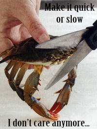 Sad Crab / This Kills The Crab