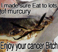 Sad Crab / This Kills The Crab