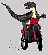 Raptor Jesus