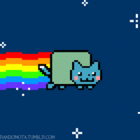 Nyan Cat / Pop Tart Cat