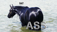 'Dat Ass