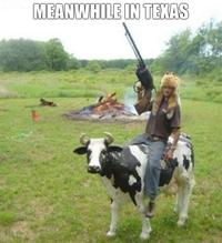 Meanwhile in X