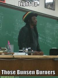 Rasta Science Teacher
