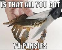 Sad Crab / This Kills The Crab