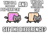 Roflbot6