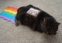 Nyan Cat / Pop Tart Cat