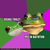 Foul Bachelorette Frog