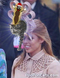 Princess Beatrice Royal Wedding Hat