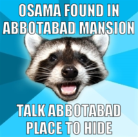 Osama Bin Laden's Death