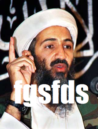 fgsfds