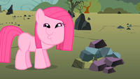 Why Wub Woo / Dashface