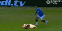 Diouf Trips