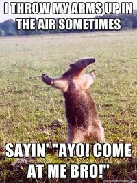 I Throw My Hands Up In The Air Sometimes Saying Ayo