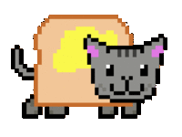 Nyan Cat / Pop Tart Cat