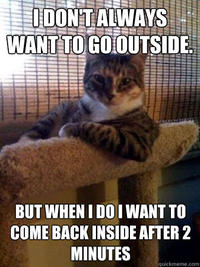 The Most Interesting Cat in the World