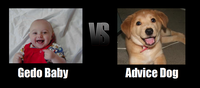 Advice Dog