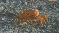 1303063794380.gif