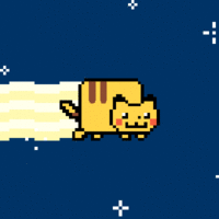 Nyan Cat / Pop Tart Cat