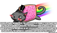 Nyan Cat / Pop Tart Cat