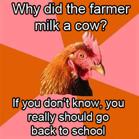 Anti-Joke Chicken