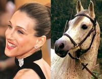 Sarah Jessica Parker Looks Like a Horse