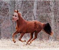 Sarah Jessica Parker Looks Like a Horse