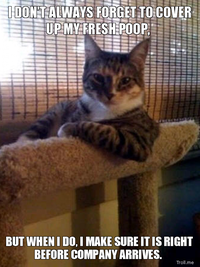The Most Interesting Cat in the World