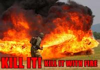 Kill It With Fire