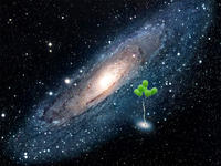 Astrotoad