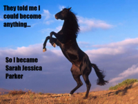 They Told Me I Could Be Anything I Wanted