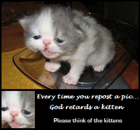 Every time you masturbate...God kills a kitten