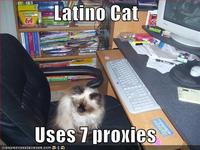 Good Luck, I'm Behind 7 Proxies