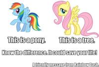 My Little Pony: Friendship is Magic