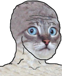 I Know That Feel Bro