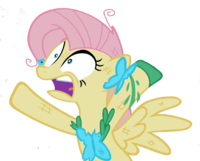Flutterrage / Flutterbitch