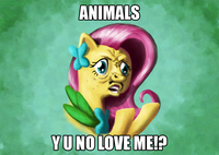 Flutterrage / Flutterbitch