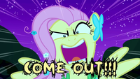Flutterrage / Flutterbitch