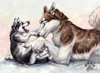 Furries