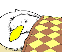 Dolan