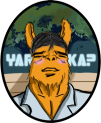 Yaranaika? (やらないか)