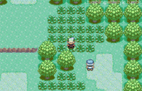 Fake Pokémon Battles