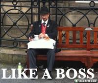 Like A Boss
