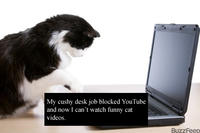First World Problems